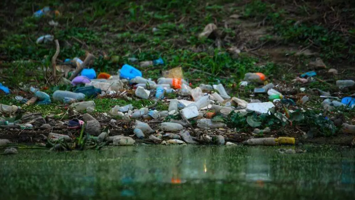 plástico contaminación